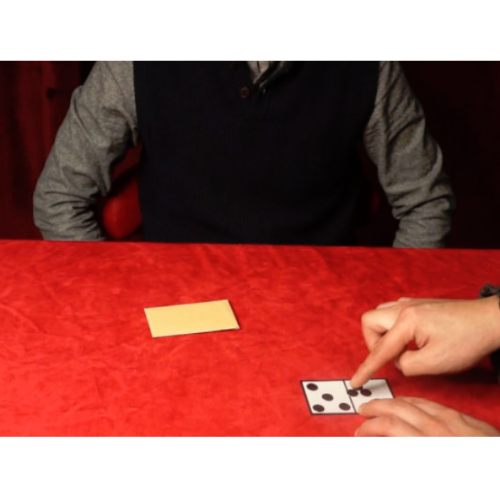 도미노프리딕션(Domino Prediction) 마술사가 선택한 도미노문양을 관객이 정확하게 맞춰냅니다.