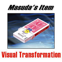 비쥬얼 트랜스포메이션 (visual transformation)