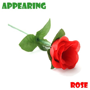 어피어링로즈(Appearing Rose) partyn