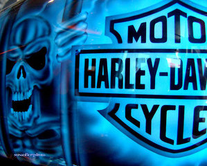 할리데이비슨 (Cards Harley Davidson)
