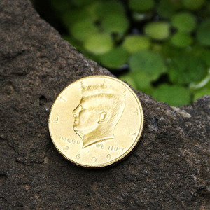 하프달러 폴딩코인(골드) half dollar folding coin gold 