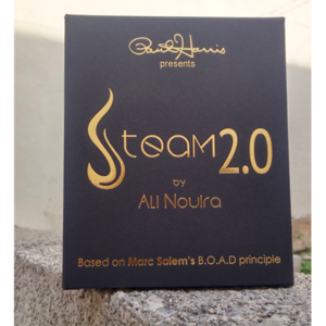 [스팀 2.0] Paul Harris Presents Steam 2.0 by Ali Nouira - 상대방의 마음속을 읽어내는 마인드리딩 트릭입니다.